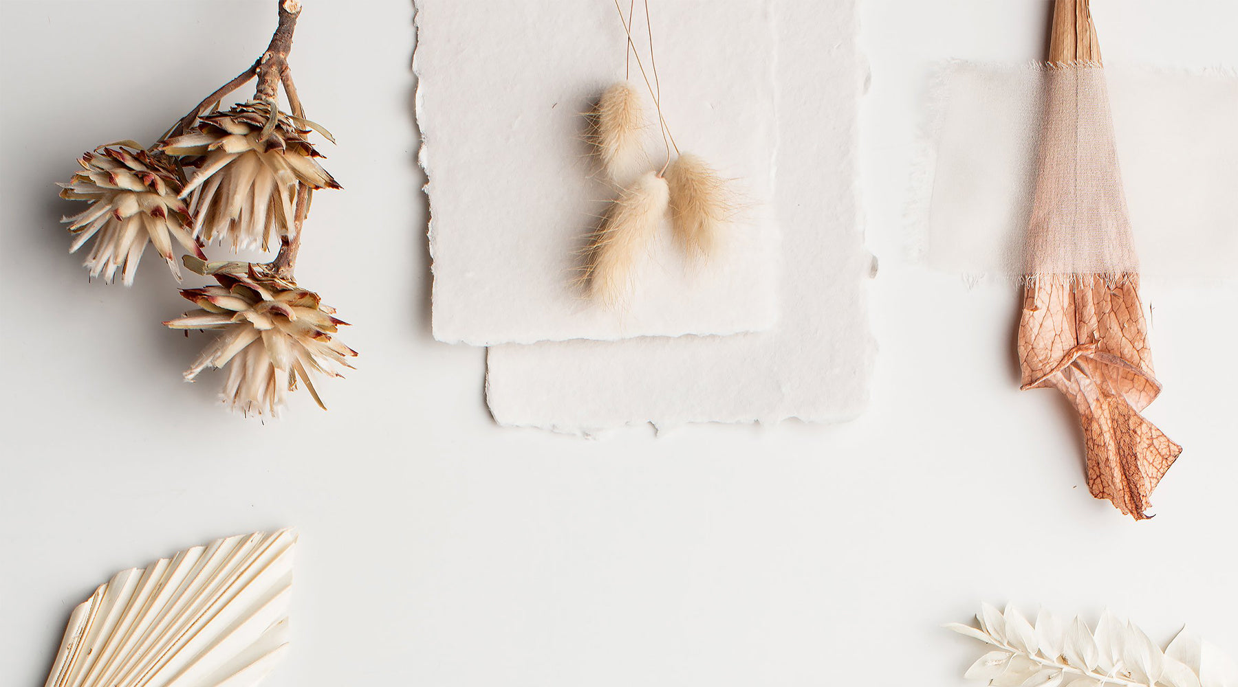 The Lily & Roe Co. Blog
