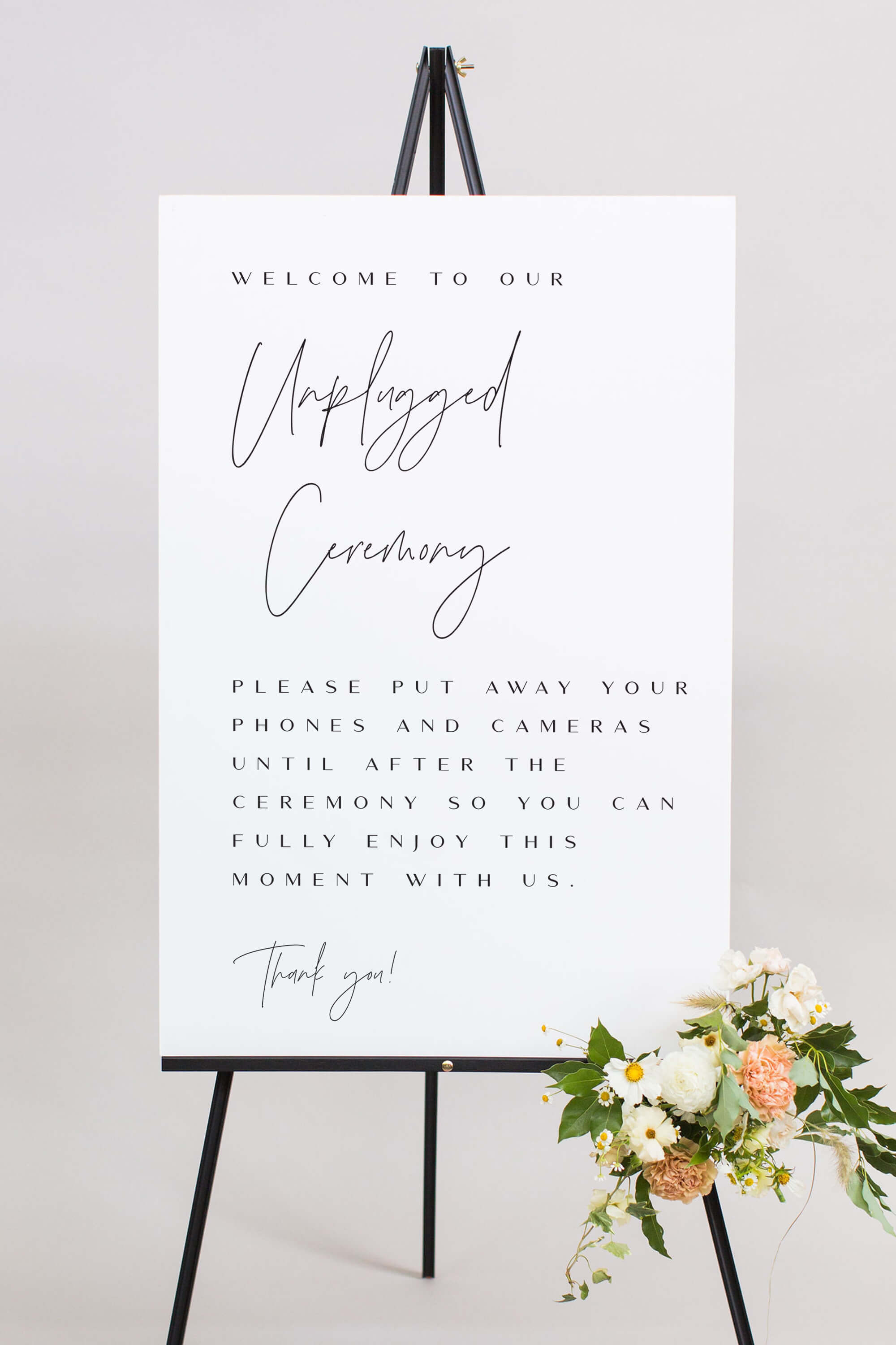 Unplugged Ceremony Sign Ideas Lily Roe Co.
