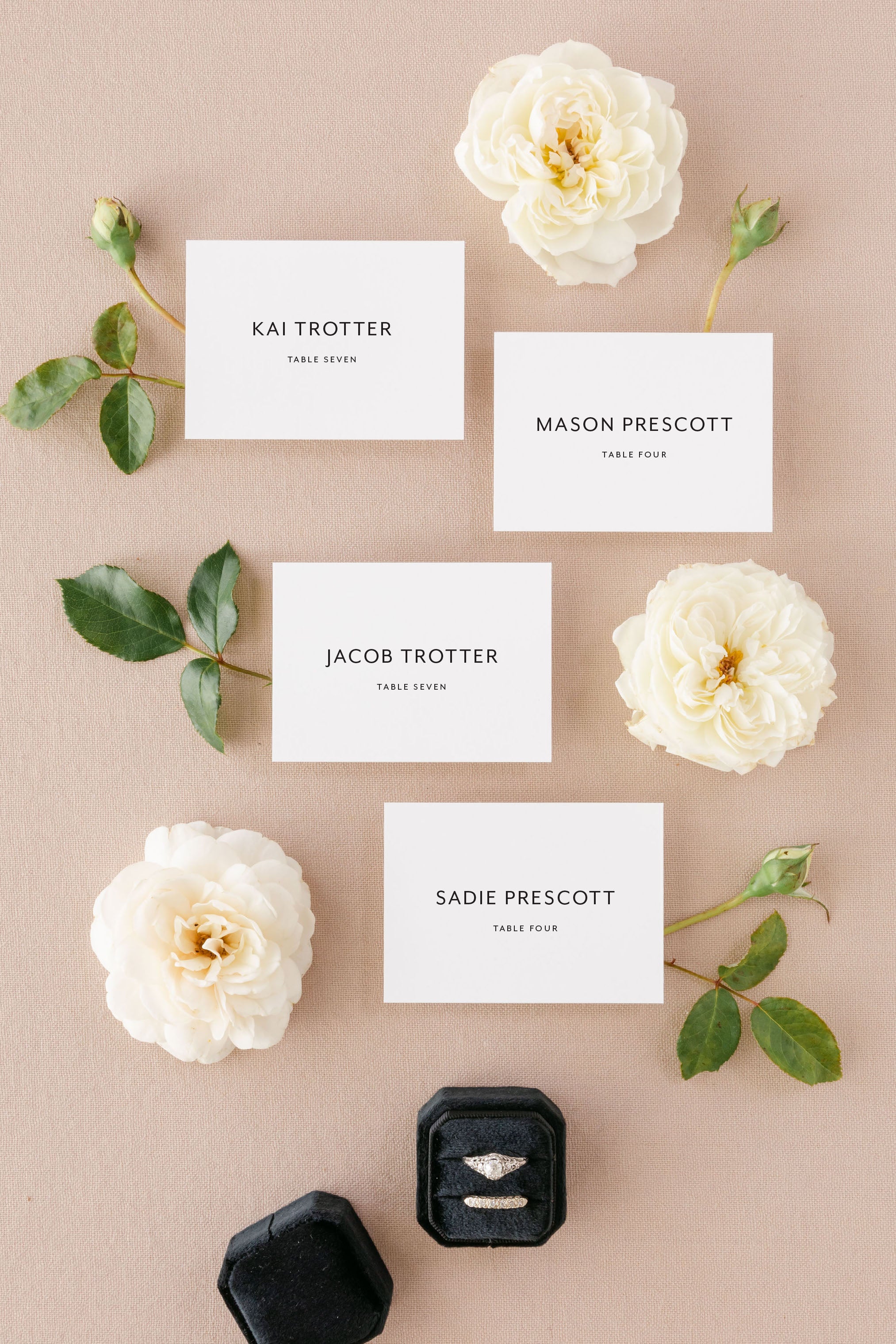 Wedding Seating Cards by Lily & Roe Co